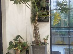 -半分甜(台柳路店)