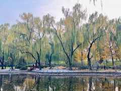 -玲珑塔公园