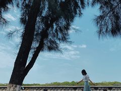 -宝安西湾红树林湿地公园