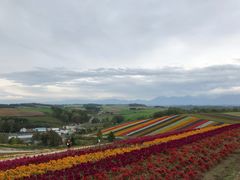 -富田农场