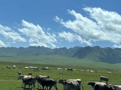 -新疆那拉提国家旅游度假区