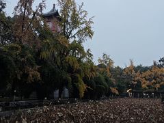 -四川大学(华西校区)