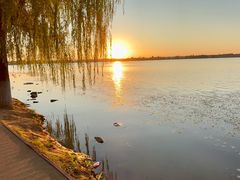 -丁香湖公园