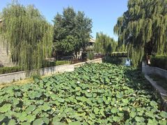 -护国寺小吃(地安门店)