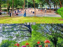 -东莞植物园