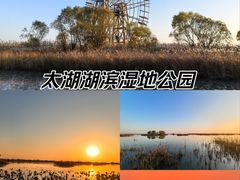 -苏州太湖湖滨国家湿地公园