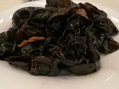 -鑫皇朝酒店(建设一路店)