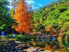 -马峦山郊野公园