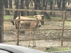 -秦皇岛野生动物园