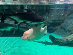 -常州海昌海洋探索馆