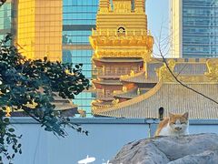 -静安公园(静安寺街道)