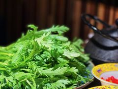 -羊大爷涮肉(亮马桥店)