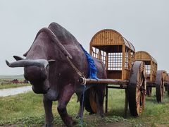 -呼伦贝尔大草原巴尔虎蒙古部落民俗旅游度假景区