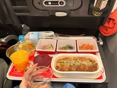 -达拉斯 沃斯堡国际机场