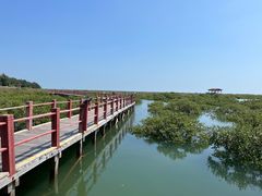 -北海金海湾红树林生态旅游区