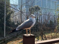 -杭州野生动物世界