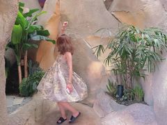 -杭州开元森泊度假乐园