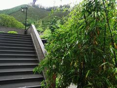 -心无尘茶餐馆(径山村店)