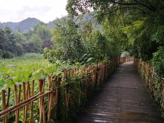 -贵阳市花溪国家城市湿地公园