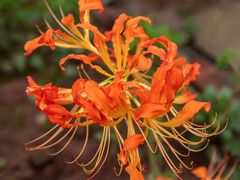 -终南山南五台景区