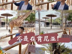 -灵玲国际马戏城