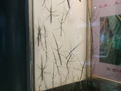 -上海昆虫博物馆