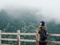 -黄龙山原始森林景区