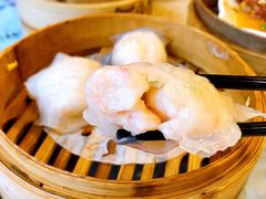 金牌虾饺皇-点都德(华强南店)