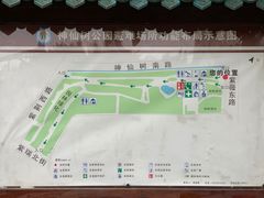 -神仙树公园