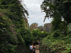 -海南热带野生动植物园