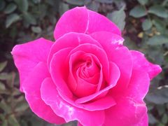 -长春公园(普阳街道)