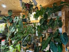 -Rabbit Cafe私房西餐甜点咖啡(栖霞路店)