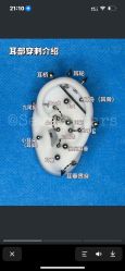 -焰针刺青纹身.手工穿孔饰品·中国刺青名店