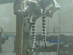 -青藏高原野生动物园