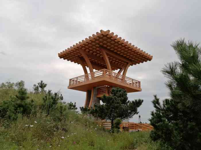 金岭山生态公园-"看到友军发了上面修好的照片,我得亲自封顶.