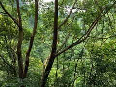 -宁波五龙潭景区