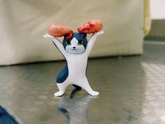 -天津前进宠物医院(前进道店)