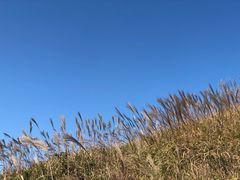 -七娘山