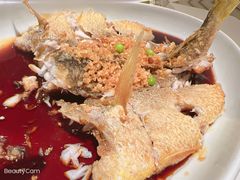 -茉里粤菜(皇姑万象汇店)