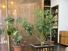 -大鱼徽州·寻味徽菜(星光总店)