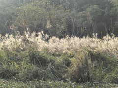 -东钱湖旅游度假区