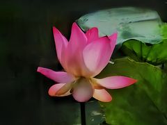 -烈士陵园(地铁站)