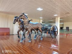 -晋国博物馆
