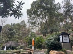 -融汇温泉