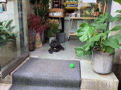 -唐咖精品咖啡(大理古城手冲店)