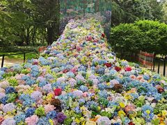 -上海共青森林公园