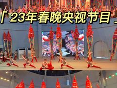 -吴桥杂技大世界