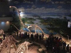 -自贡恐龙博物馆