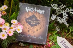 -派对猴生日派对策划