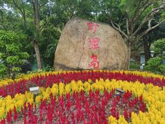 -野狸岛